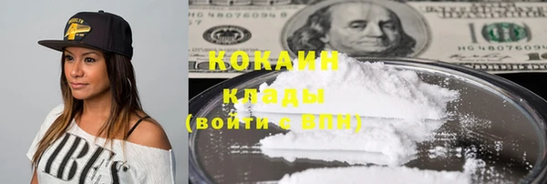 ГАЛЛЮЦИНОГЕННЫЕ ГРИБЫ Белокуриха