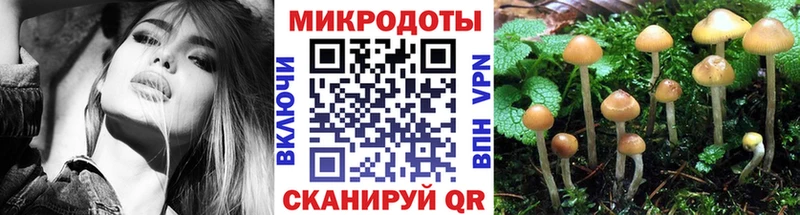 Галлюциногенные грибы MAGIC MUSHROOMS  Олёкминск 